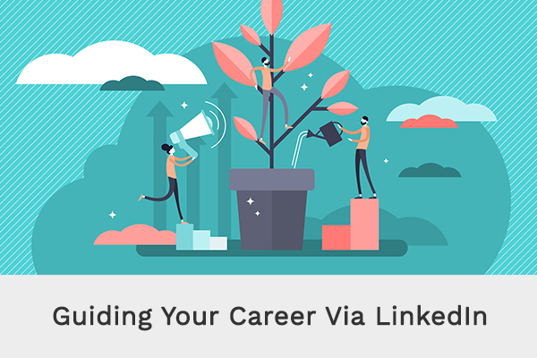 Guiding Your Career Via LinkedIn